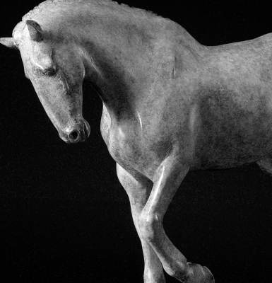 Model of Horse for Animals in War Memorial